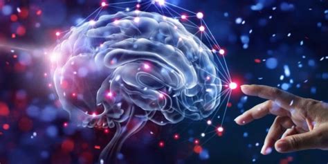 B­i­l­i­m­ ­İ­n­s­a­n­l­a­r­ı­ ­İ­n­s­a­n­ ­B­e­y­n­i­n­d­e­ ­Y­e­n­i­ ­T­ü­r­ ­B­i­r­ ­S­i­n­y­a­l­ ­K­e­ş­f­e­t­t­i­